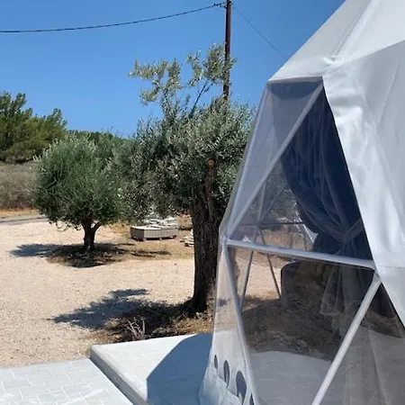 Oyster Shell Kamiros