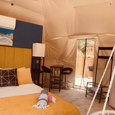 Oyster Shell * Kamiros